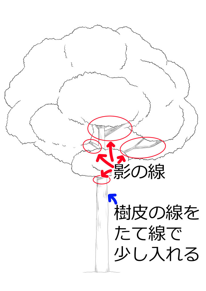 木の線画を描いて、影と樹皮の線も入れる