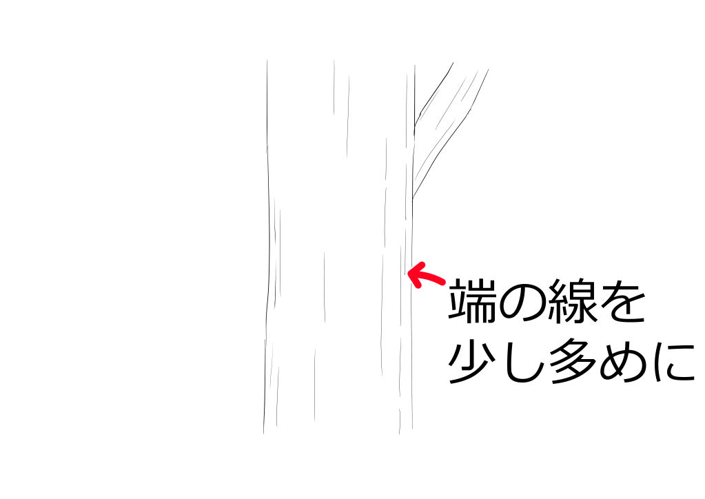 幹の端に樹皮の線を少し多めに