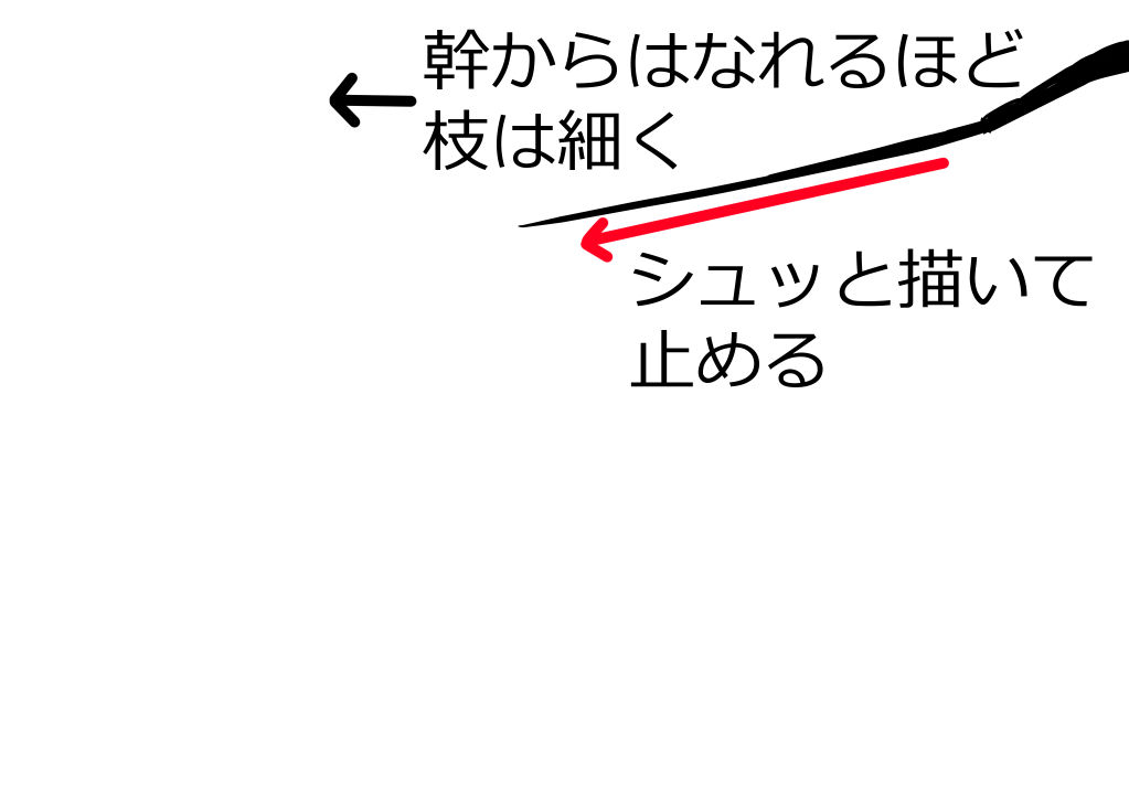 幹から離れるほど枝は細くなる