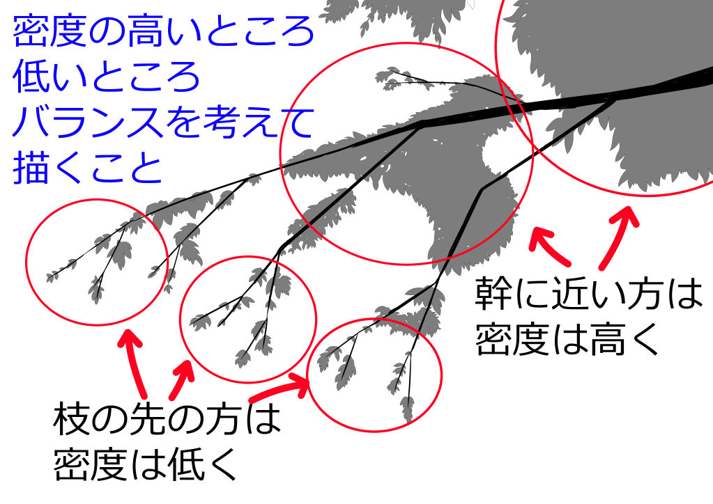 幹に近いところは葉を密集させ、遠いところは密度を低くして描く